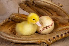 Buona Pasqua!!!