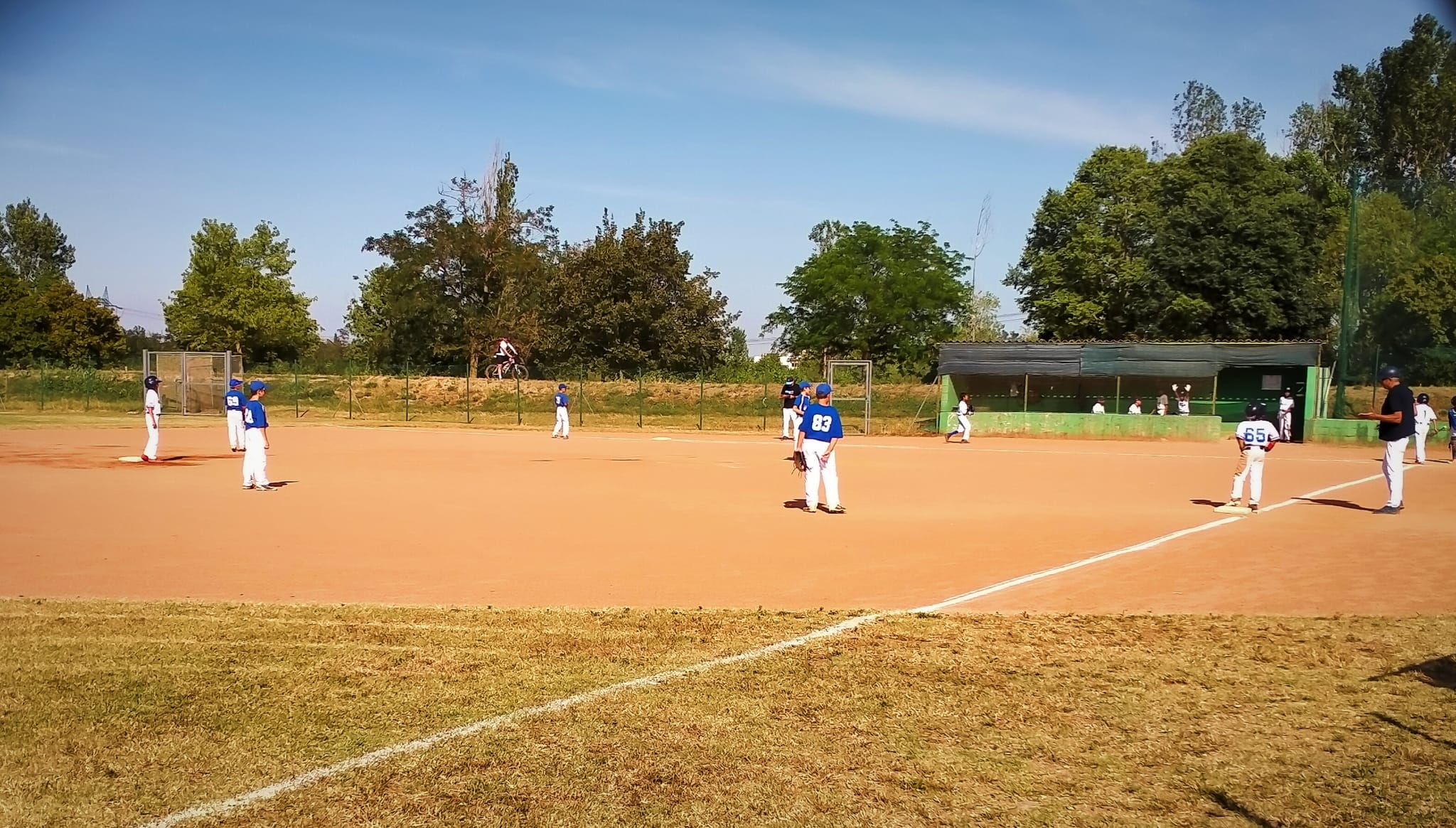 Ultime under 12